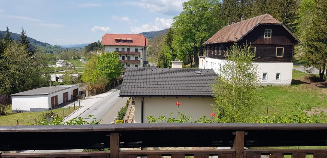 Haus Elena Am Semmering Steinhaus am Semmering Esterno foto